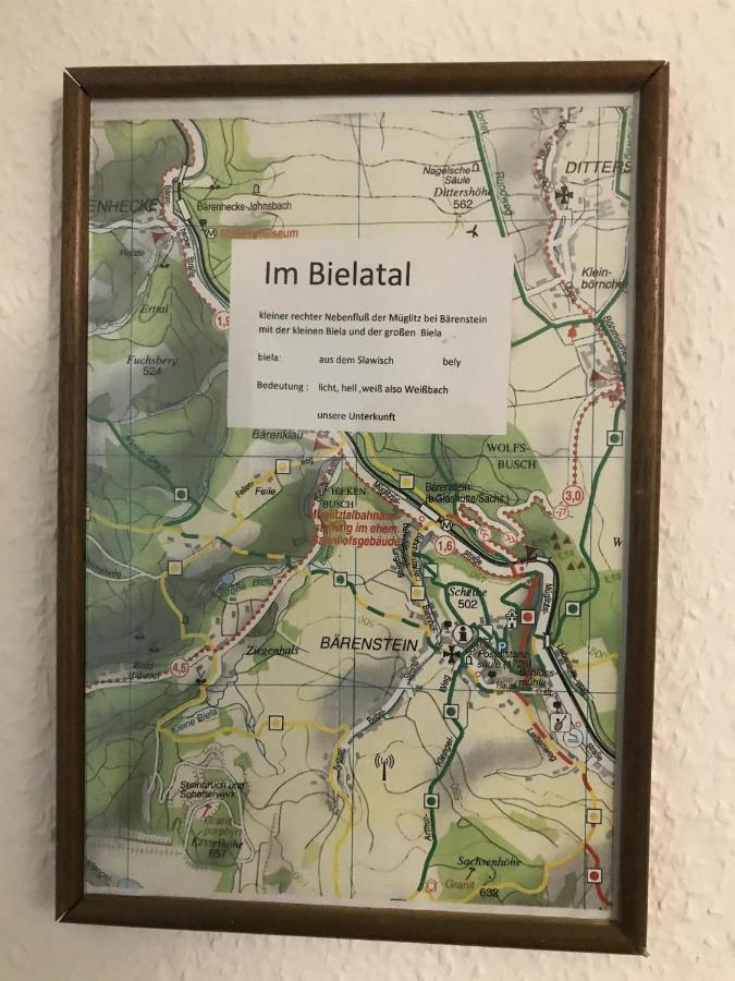 Ferienwohnung Uhlig Altenberg  Exteriér fotografie
